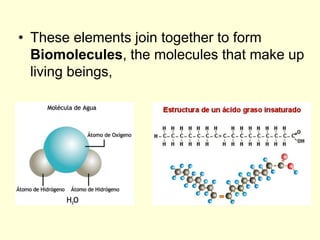 • These elements join together to form
Biomolecules, the molecules that make up
living beings,
 