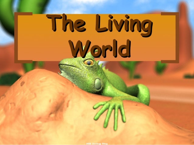 Image result for living world