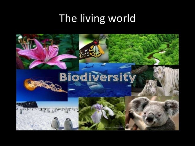 The living world