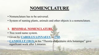 NOMENCLATURE
• Nomenclature has to be universal.
• System of naming plants, animals and other objects is a nomenclature.
1. BINOMIAL NOMENCLATURE –
• Two word name system.
• Given by CAROLUS LINNAEUS in 1753.
• CANDOLLE (1813) in his “Theorie elementaire dela botanique” gave
significant work after Linnaeus.
 