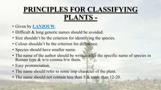 PRINCIPLES FOR CLASSIFYING
PLANTS -
• Given by LANJOUW.
• Difficult & long generic names should be avoided.
• Size shouldn’t be the criterion for identifying the species.
• Colour shouldn’t be the criterion for difference.
• Species should have smaller name.
• The name of the author should be written after the specific name of species in
Roman type & w/o comma b/w them.
• Easy pronunciation.
• The name should refer to some imp character of the plant.
• The name should not contain less than 3 & more than 12-20.
 