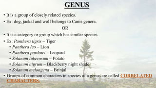 GENUS
• It is a group of closely related species.
• Ex: dog, jackal and wolf belongs to Canis genera.
OR
• It is a category or group which has similar species.
• Ex: Panthera tigris – Tiger
• Panthera leo – Lion
• Panthera pardous – Leopard
• Solanum tuberosum – Potato
• Solanum nigrum – Blackberry night shade
• Solanum melongena – Brinjal
• Groups of common characters in species of a genus are called CORRELATED
CHARACTERS.
 