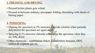 2. PRESSING AND DRYING-
• Pressed before plants gets wilted.
• Pressed in between ordinary newspaper folding alternating with sheets of
bloting paper.
3. POISONING-
• Dipping the specimen in 2% mercuric chloride solution when partially
dehydrated the specimen are again dried.
• Spraying 0.1% mercuric chloride solution on the specimen when they
are fully dried.
• Other chemicals – naphthalene flakes, paradichloro benzene, DDT,
carbon-di-sulphide gas etc.
 