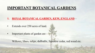 IMPORTANT BOTANICAL GARDENS
1. ROYAL BOTANICAL GARDEN, KEW, ENGLAND –
• Extends over 250 acres of land.
• Important plants of garden are –
Willows, lilacs, tulips, daffodils, Japanese cedar, red wood etc.
 