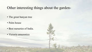 Other interesting things about the garden-
• The great banyan tree
• Palm house
• Best nurseries of India.
• Victoria amazonica
 