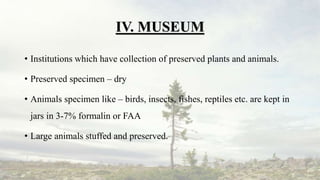 IV. MUSEUM
• Institutions which have collection of preserved plants and animals.
• Preserved specimen – dry
• Animals specimen like – birds, insects, fishes, reptiles etc. are kept in
jars in 3-7% formalin or FAA
• Large animals stuffed and preserved.
 