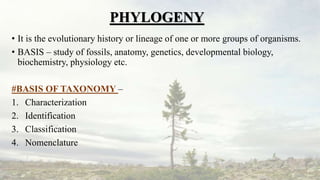 PHYLOGENY
• It is the evolutionary history or lineage of one or more groups of organisms.
• BASIS – study of fossils, anatomy, genetics, developmental biology,
biochemistry, physiology etc.
#BASIS OF TAXONOMY –
1. Characterization
2. Identification
3. Classification
4. Nomenclature
 