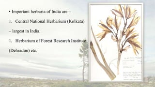 • Important herbaria of India are –
1. Central National Herbarium (Kolkata)
– largest in India.
1. Herbarium of Forest Res...