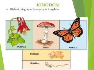 KINGDOM
 Highest category of taxonomy is Kingdom.
 