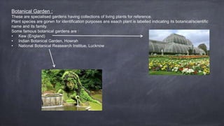 Botanical Garden :
These are specialised gardens having collections of living plants for reference.
Plant species are gorwn for identification purposes ans eaach plant is labelled indicating its botanical/scientific
name and its family.
Some famous botanical gardens are :
• Kew (England)
• Indian Botanical Garden, Howrah
• National Botanical Reasearch Institue, Lucknow
 