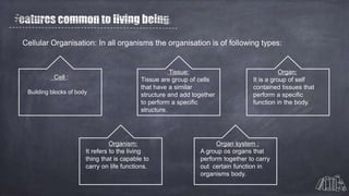 Cellular Organisation: In all organisms the organisation is of following types:
Cell :
Building blocks of body
Tissue:
Tissue are group of cells
that have a similar
structure and add together
to perform a specific
structure.
Organ:
It is a group of self
contained tissues that
perform a specific
function in the body.
Organism:
It refers to the living
thing that is capable to
carry on life functions.
Organ system :
A group os organs that
perform together to carry
out certain function in
organisms body.
 