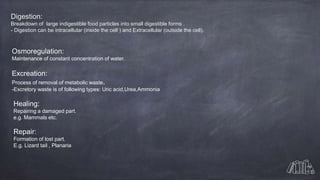Digestion:
Breakdown of large indigestible food particles into small digestible forms .
- Digestion can be intracellular (inside the cell ) and Extracellular (outside the cell).
Osmoregulation:
Maintenance of constant concentration of water.
Excreation:
Process of removal of metabolic waste.
-Excretory waste is of following types: Uric acid,Urea,Ammonia
Healing:
Repairing a damaged part.
e.g. Mammals etc.
Repair:
Formation of lost part.
E.g. Lizard tail , Planaria
 