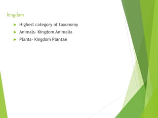 kingdom
 Highest category of taxonomy
 Animals- Kingdom Animalia
 Plants- Kingdom Plantae
 