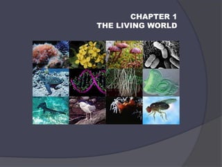 CHAPTER 1
THE LIVING WORLD
 