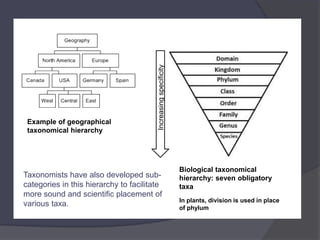 The living world Class 11 NCERT | PPTX