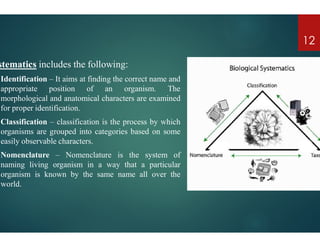 stematics includes the following:
Identification – It aims at finding the correct name
appropriate position of an organism.
morphological and anatomical characters are examined
for proper identification.
Classification – classification is the process by
Classification – classification is the process by
organisms are grouped into categories based on
easily observable characters.
Nomenclature – Nomenclature is the system
naming living organism in a way that a particular
organism is known by the same name all over
world.
name and
The
examined
which
12
which
on some
system of
particular
over the
 