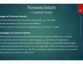 Nomenclature
i. Common Names
ntages of Common Names :
Common names are easy to pronounce and are short, e.g., Cat or
People are familiar to these names since childhood.
They are based on some features of organisms, e.g.,
dvantages of Common Names :
dvantages of Common Names :
All the organisms cannot be named by this method as there are organism of different sizes and
An organism may have several names in a given language, e.g.,
A common names may have different meanings in different countries, e.g.,
Common names may have little relevance, e.g., Lady’s finger (okra), widows tears (
Common names may be incorrect, e.g., Jelly fish (a coelenterate),
These names are not useful for scientific studies.
Nomenclature
Common Names
Common names are easy to pronounce and are short, e.g., Cat or billi.
They are based on some features of organisms, e.g., Cowa (crow—sound).
16
All the organisms cannot be named by this method as there are organism of different sizes and shapes.
An organism may have several names in a given language, e.g., water lily has 15 English names.
A common names may have different meanings in different countries, e.g., custard apple/sitaphal/pumpkin.
Common names may have little relevance, e.g., Lady’s finger (okra), widows tears (Tradescantia-Rhoeo), etc.
Common names may be incorrect, e.g., Jelly fish (a coelenterate), starfish (an echinoderm) are not real fishes.
 