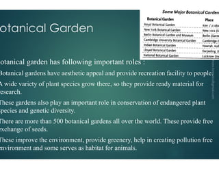 otanical Garden
botanical garden has following important
Botanical gardens have aesthetic appeal and provide recreation facility to people
A wide variety of plant species grow there, so they provide ready material for
A wide variety of plant species grow there, so they provide ready material for
research.
These gardens also play an important role in conservation of endangered plant
species and genetic diversity.
There are more than 500 botanical gardens all over the world. These provide free
exchange of seeds.
These improve the environment, provide greenery, help in creating pollution free
environment and some serves as habitat for animals.
botanical garden has following important roles :
gardens have aesthetic appeal and provide recreation facility to people.
wide variety of plant species grow there, so they provide ready material for
26
wide variety of plant species grow there, so they provide ready material for
gardens also play an important role in conservation of endangered plant
are more than 500 botanical gardens all over the world. These provide free
improve the environment, provide greenery, help in creating pollution free
environment and some serves as habitat for animals.
 
