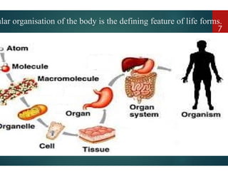 ular organisation of the body is the defining feature
organisation of the body is the defining feature of life forms.
7
 