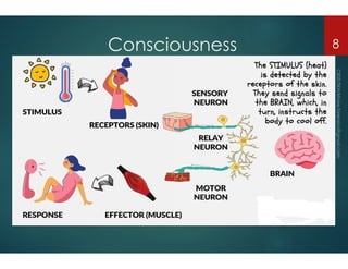 Consciousness
Consciousness 8
 