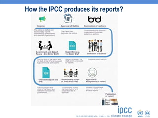 How the IPCC produces its reports?
 