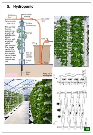 5. Hydroponic
20
 