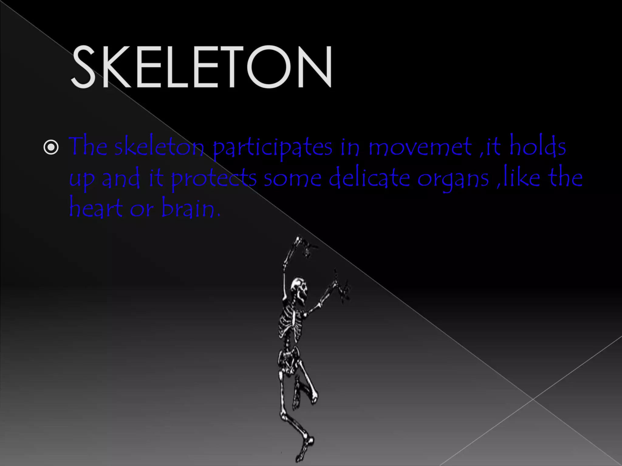    The skeleton participates in movemet ,it holds
    up and it protects some delicate organs ,like the
    heart or brain.
 