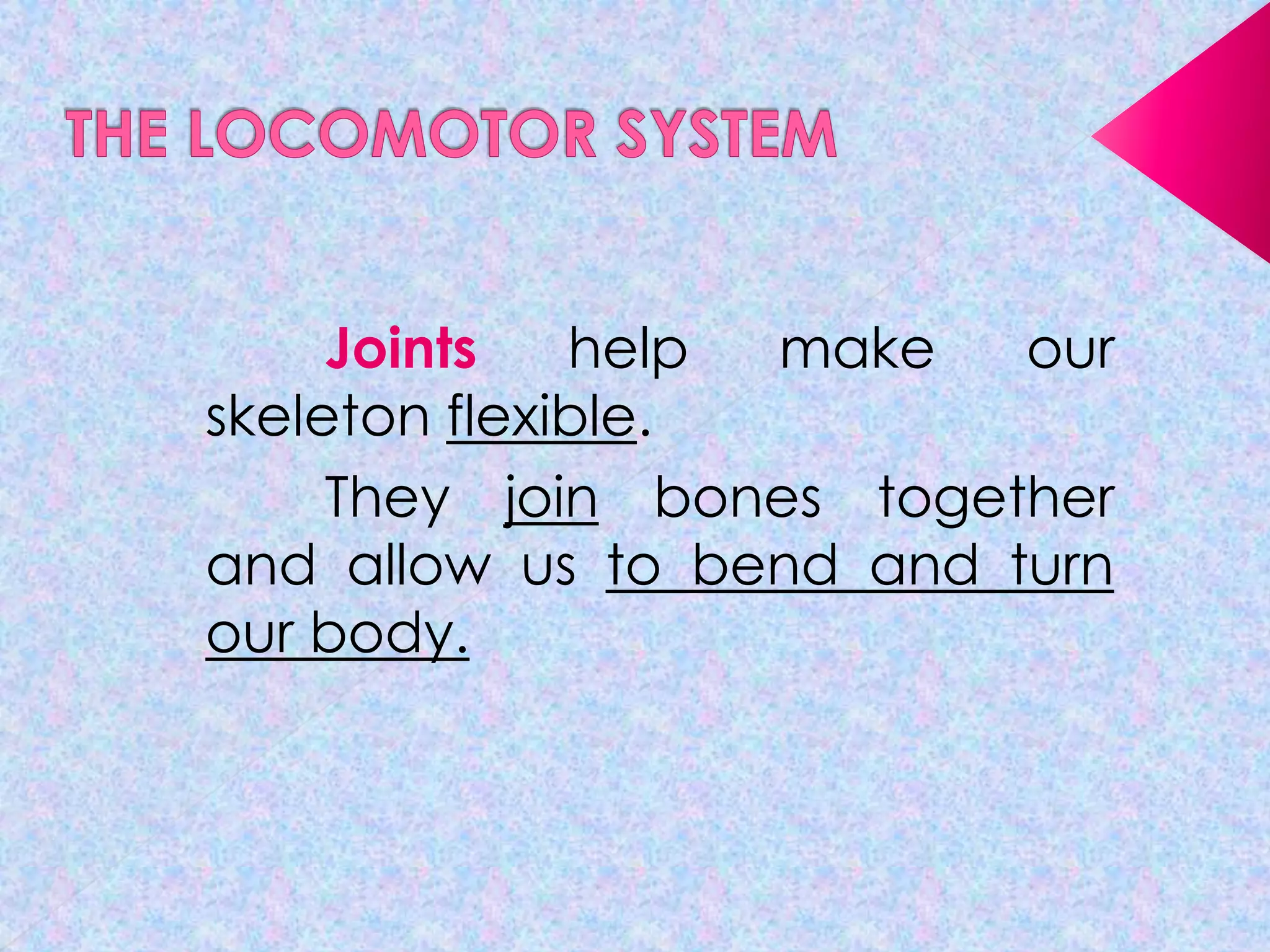 Joints
help
make
our
skeleton flexible.
They join bones together
and allow us to bend and turn
our body.

 