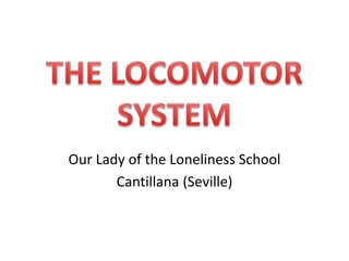 Our Lady of the Loneliness School
Cantillana (Seville)
 