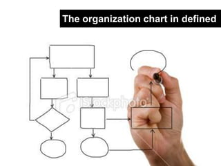 The organization chart in defined<br />