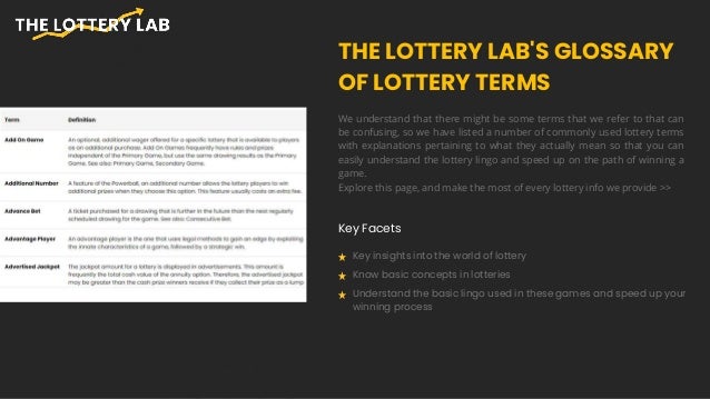 The Lottery Lab - Overview.pptx