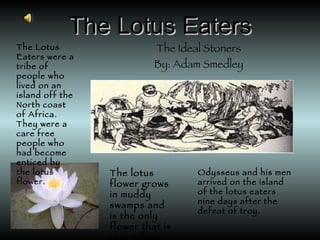 The Lotus Eaters The Ideal Stoners By: Adam Smedley The Lotus Eaters were a tribe of people who lived on an island off the North coast of Africa. They were a care free people who had become enticed by the lotus flower. The lotus flower grows in muddy swamps and is the only flower that is also a fruit. Odysseus and his men arrived on the island of the lotus eaters nine days after the defeat of troy. 