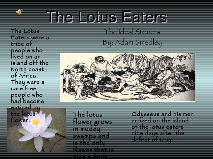 The Lotus Eaters Adam Smedley