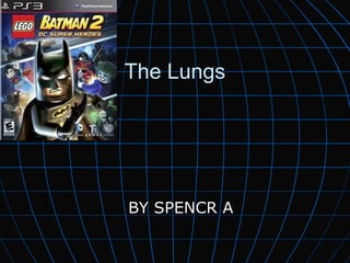 The Lungs




BY SPENCR A
 