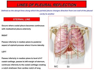 Sternal Reflection Comprehensive Anatomy of the Lungs and Pleural Structures | PPT