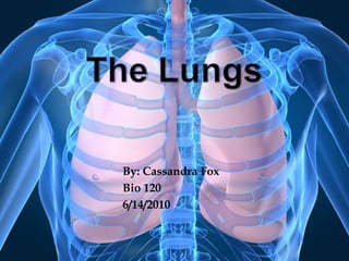 The Lungs By: Cassandra Fox Bio 120 6/14/2010 