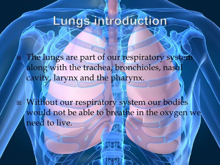 The lungs presentation ch.2