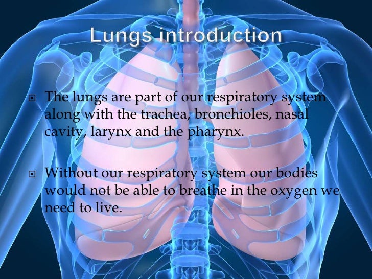 presentation about lungs