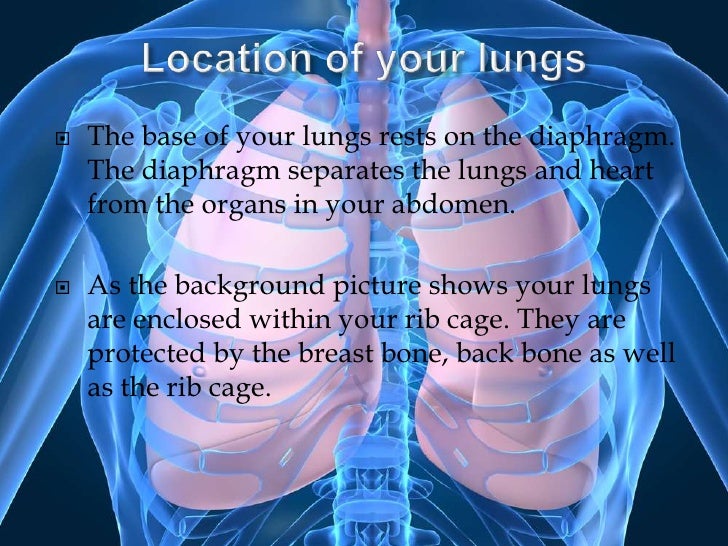 The lungs presentation ch.2