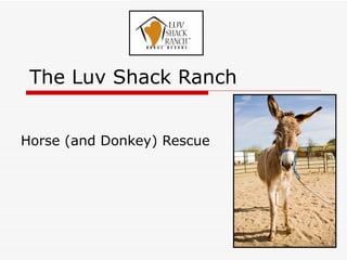 The Luv Shack Ranch Horse (and Donkey) Rescue 