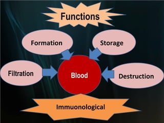 Functions
Formation

Filtration

Storage

Blood

Immuonological

Destruction

 
