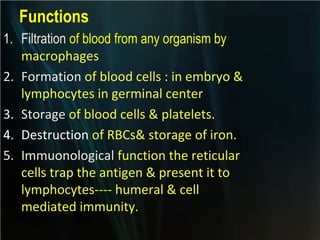 Functions
1. Filtration of blood from any organism by
macrophages
2. Formation of blood cells : in embryo &
lymphocytes in germinal center
3. Storage of blood cells & platelets.
4. Destruction of RBCs& storage of iron.
5. Immuonological function the reticular
cells trap the antigen & present it to
lymphocytes---- humeral & cell
mediated immunity.

 