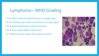 Lymphoma –WHO Grading
• I  solitary node or lymphoid tissue in a single organ
• II  multiple lymph node involvement in a single region
• III  generalised lymph node involvement
• IV  liver and/or spleen involvement
• V  Bone marrow and/or other organs involved
 