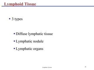 The lymphatic system | PPT