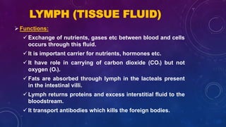 Functions:
 Exchange of nutrients, gases etc between blood and cells
occurs through this fluid.
 It is important carrier for nutrients, hormones etc.
 It have role in carrying of carbon dioxide (CO2) but not
oxygen (O2).
 Fats are absorbed through lymph in the lacteals present
in the intestinal villi.
 Lymph returns proteins and excess interstitial fluid to the
bloodstream.
 It transport antibodies which kills the foreign bodies.
LYMPH (TISSUE FLUID)
 