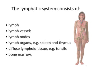 The lymphatic system of the human body and health | PPTX