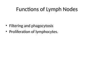 Functions of Lymph Nodes
• Filtering and phagocytosis
• Proliferation of lymphocytes.
 