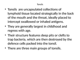 Tonsils
• Tonsils are uncapsulated collections of
lymphoid tissue located strategically in the back
of the mouth and the throat, ideally placed to
intercept swallowed or inhaled antigens.
• They are generally largest in childhood and
regress with age.
• Their structure features deep pits or clefts to
trap bacteria, which are then destroyed by the
defence cells packed into the tonsil.
• There are three main groups of tonsils.
 