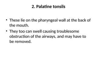 2. Palatine tonsils
• These lie on the pharyngeal wall at the back of
the mouth.
• They too can swell causing troublesome
obstruction of the airways, and may have to
be removed.
 