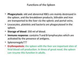 Functions of the Spleen
• Phagocytosis: old and abnormal RBCs are mainly destroyed in
the spleen, and the breakdown products, bilirubin and iron
are transported to the liver via the splenic and portal veins.
• Leucocytes, platelets and bacteria are phagocytosed in the
spleen.
• Storage of blood: 350 ml of blood.
• Immune response: contains T-and B-lymphocytes which are
activated by the presence of antigens.
• Splenomegaly???
• Erythropoiesis: the spleen with the liver are important sites of
fetal blood cell production. In times of great need, the spleen
can resume this function in adults.
 